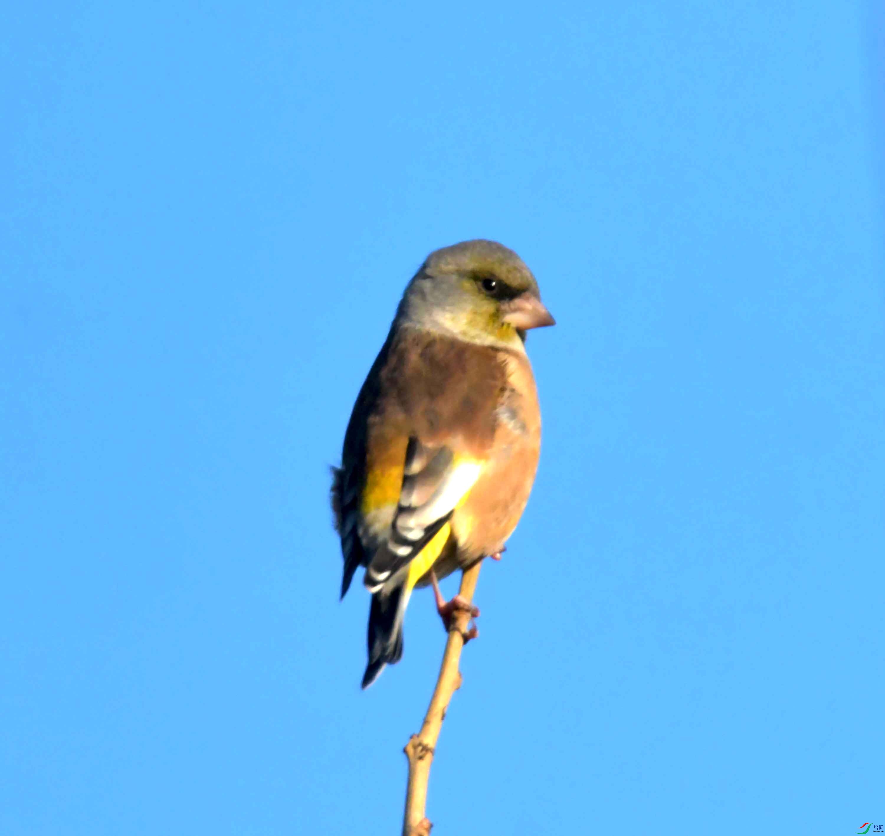 DSC_2354.JPG
