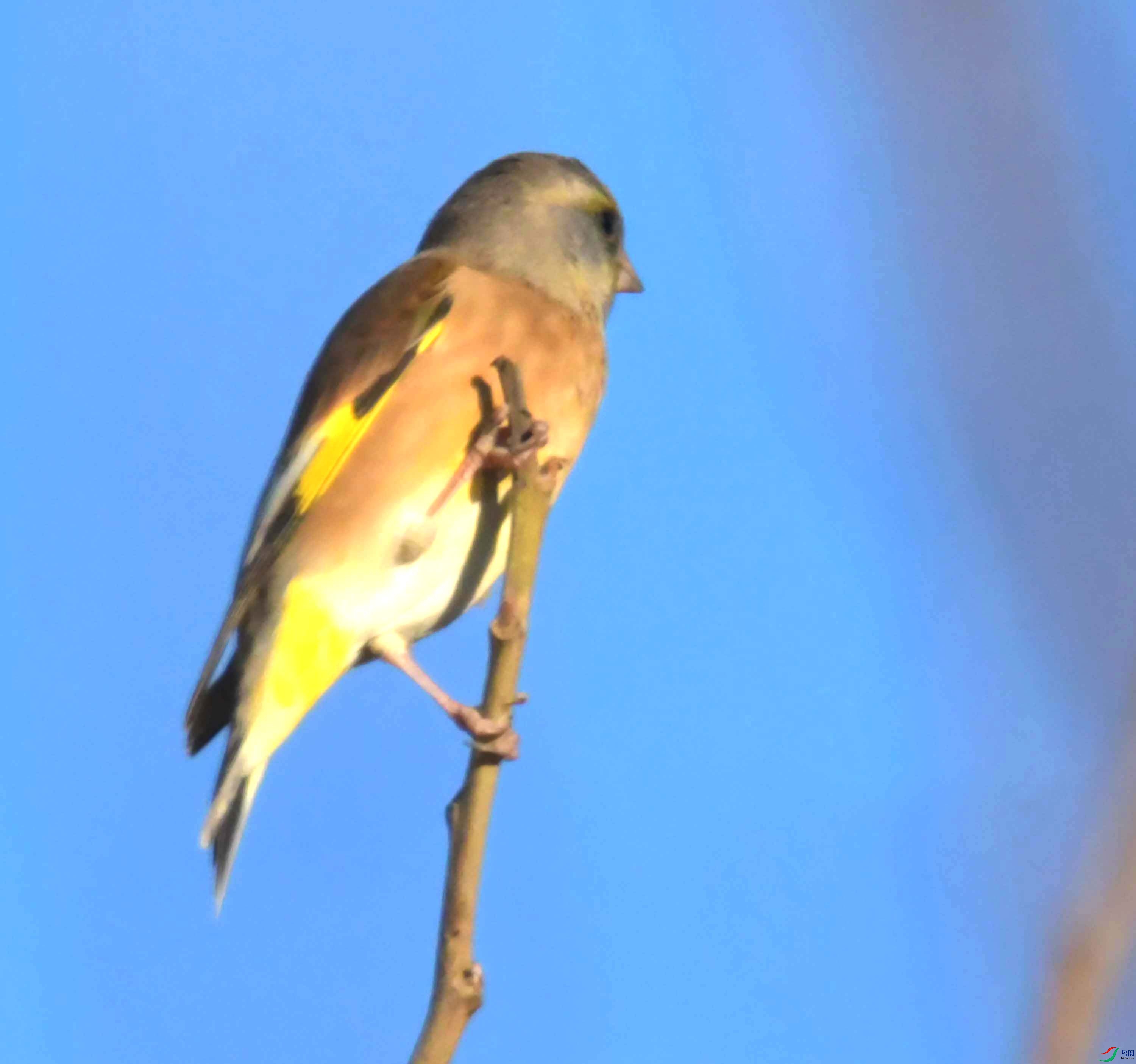DSC_2423.JPG