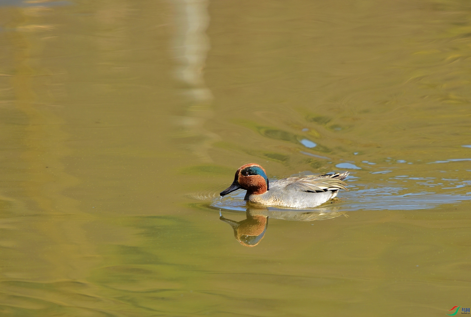 D8I_0952.jpg