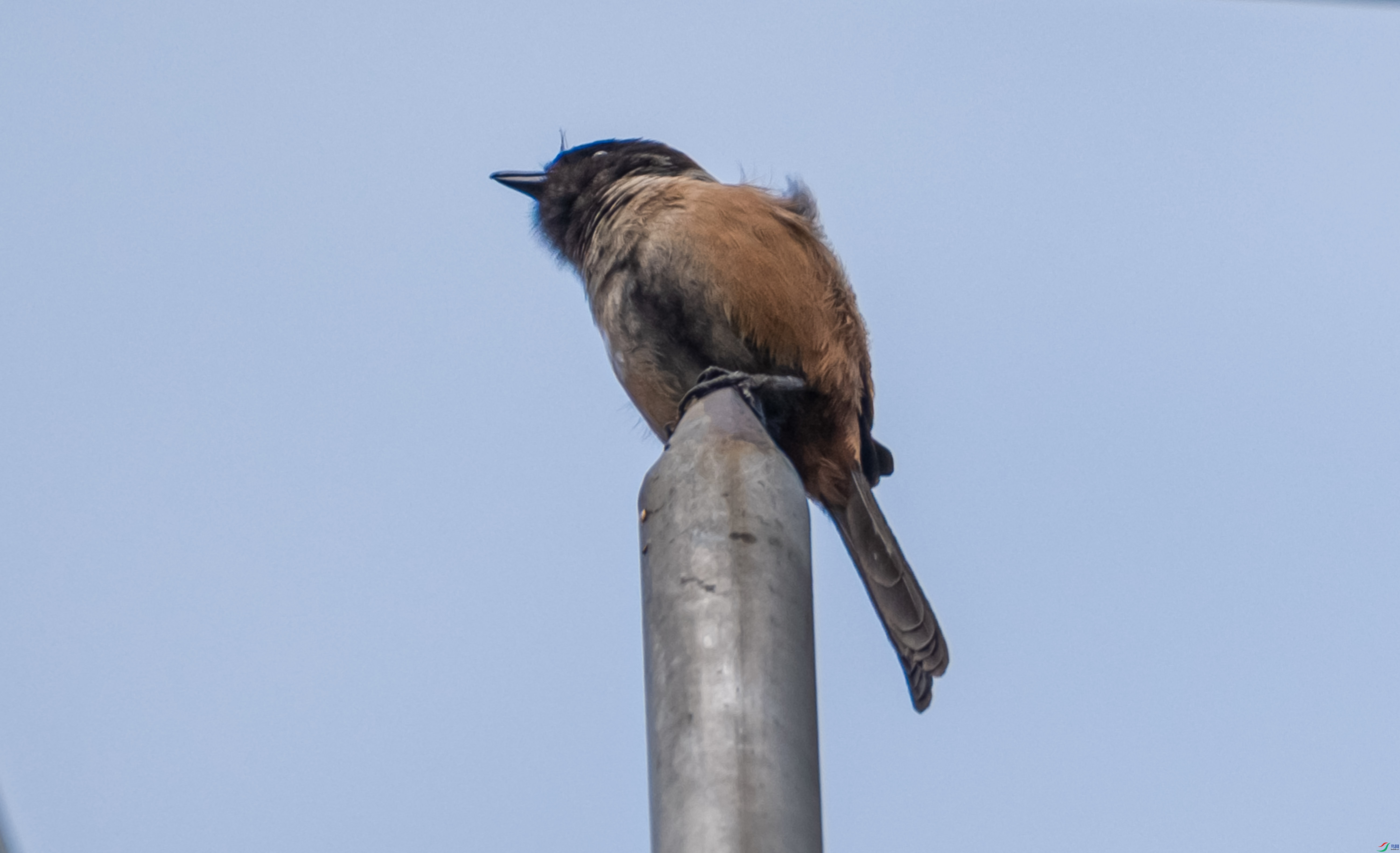 DSCF2292-2.jpg