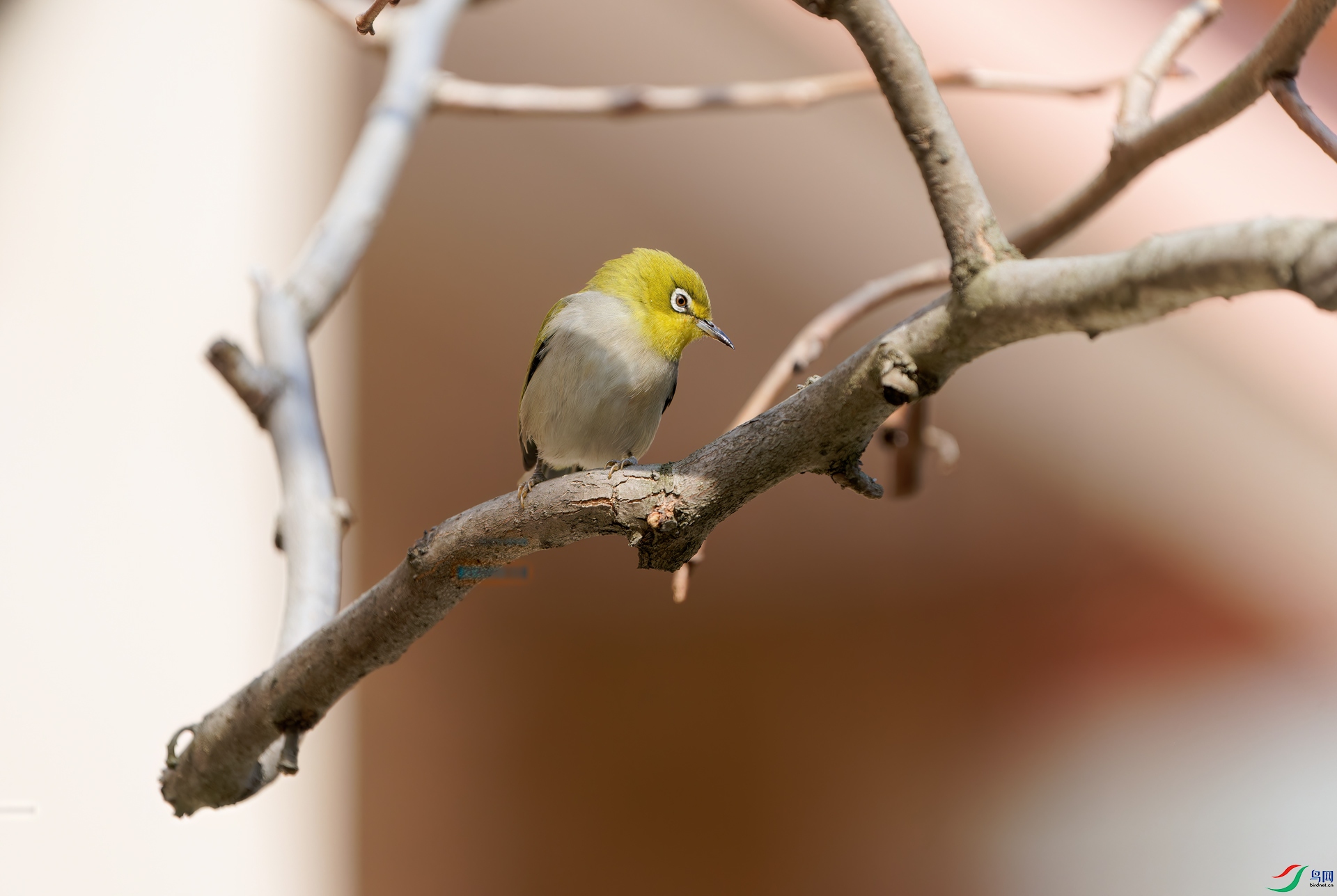 DSC01247-ARW_DxO_DeepPRIME.jpg