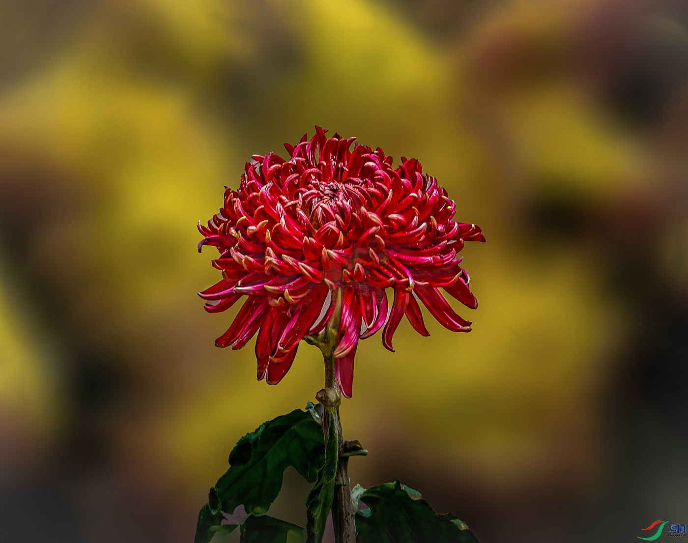 00000583A0071 ī�� 800k.jpg