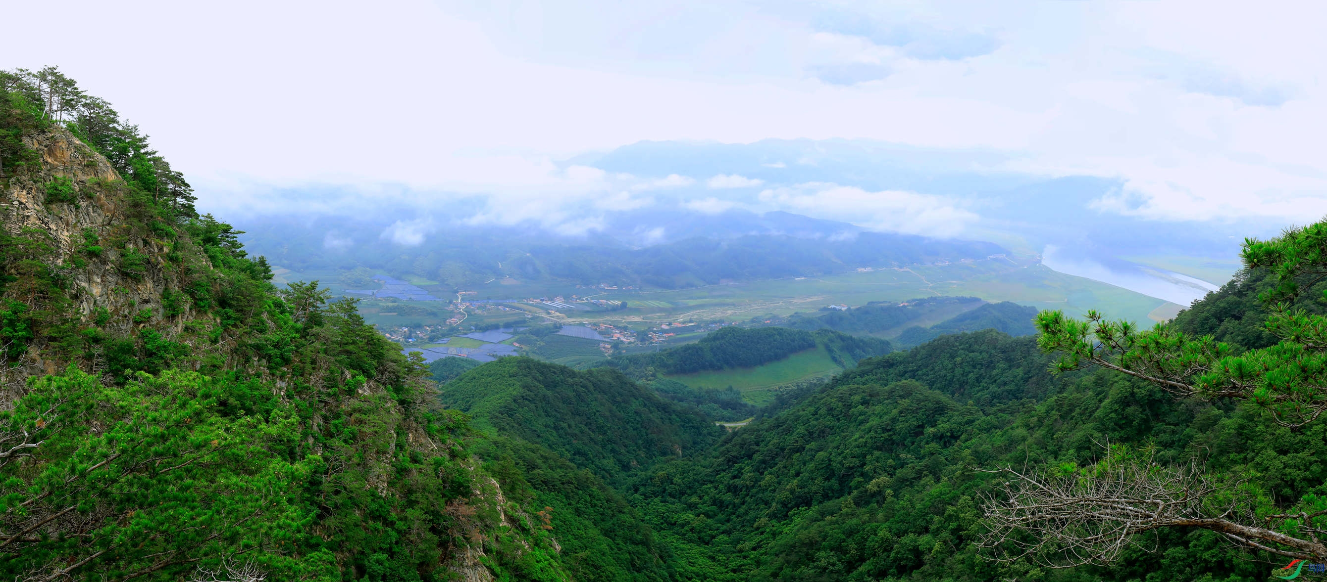 �����е��̽���