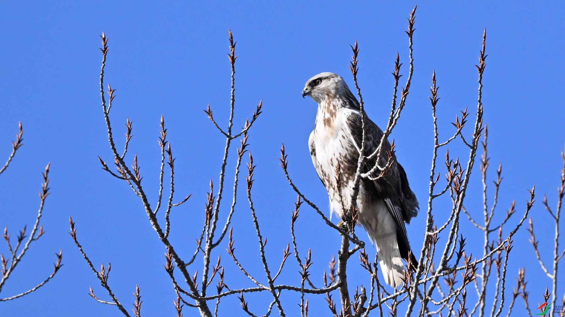 DSC_2221_����.jpg