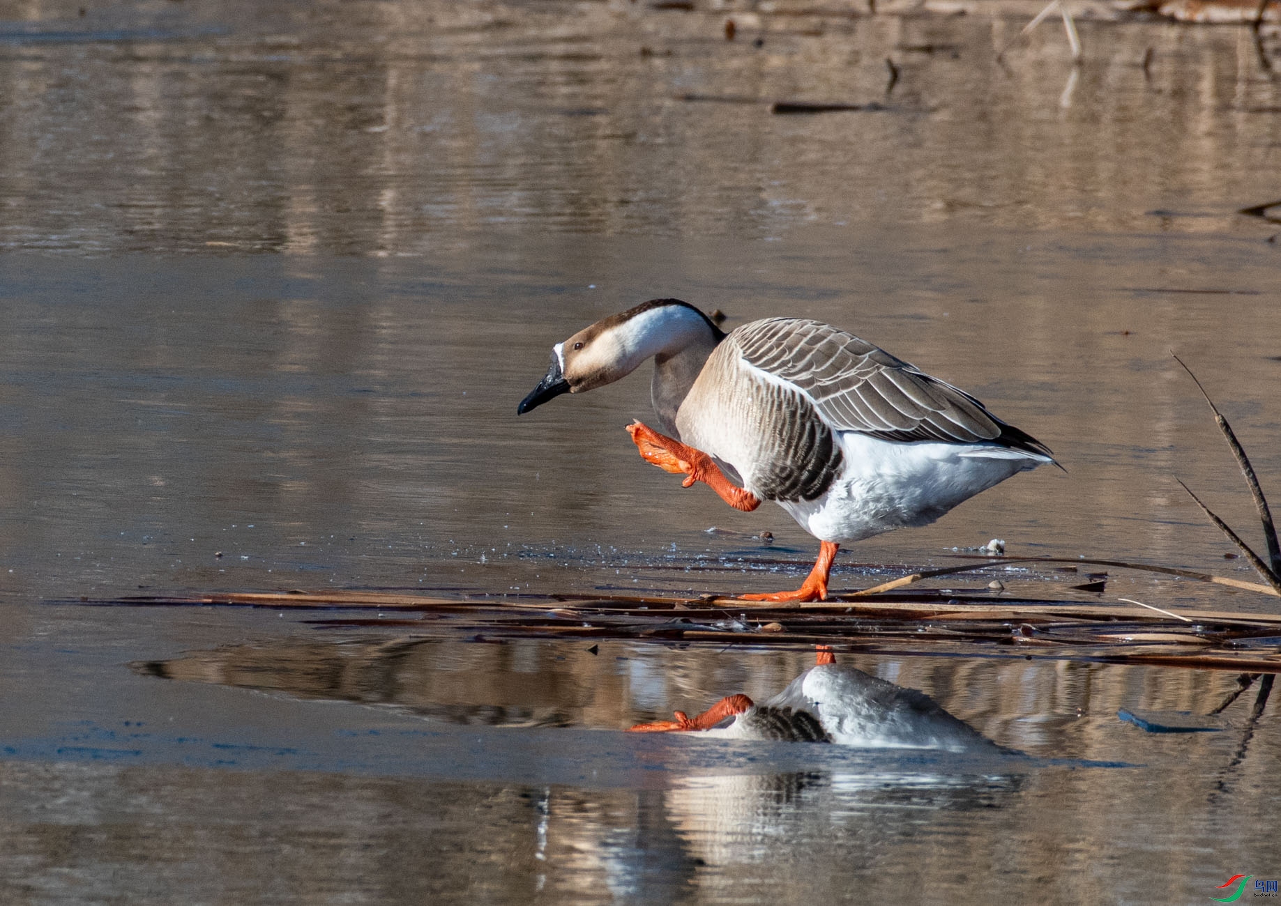 DSC_9975.jpg