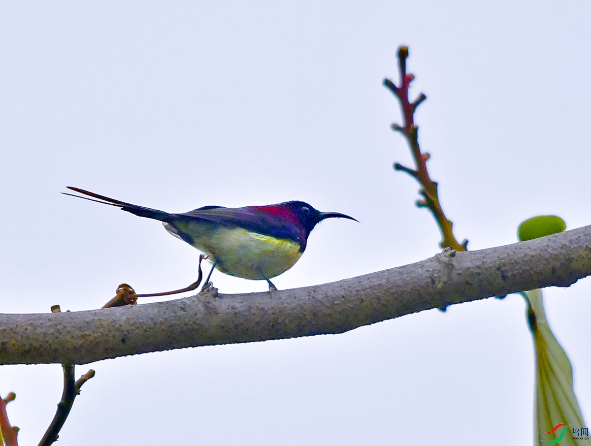 DSC_3873.JPG