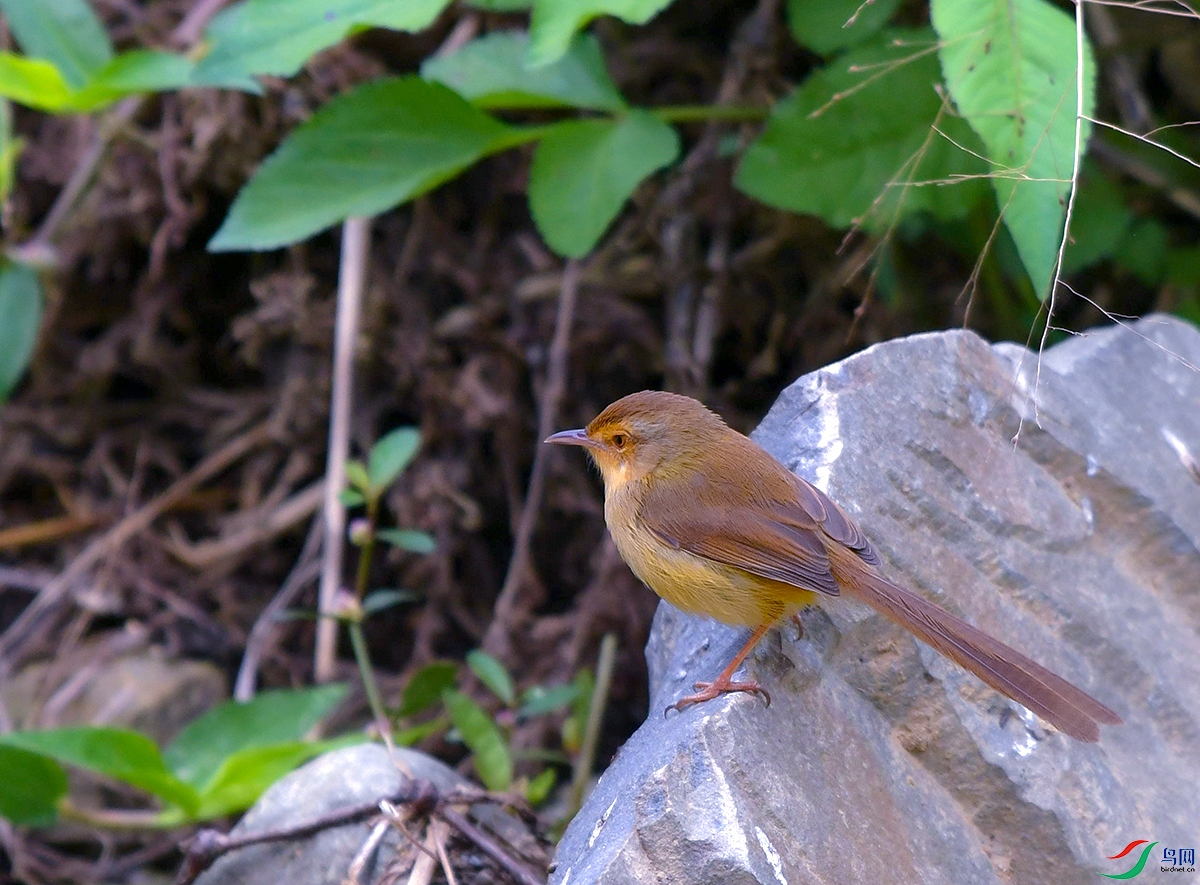 DSC_3909.JPG