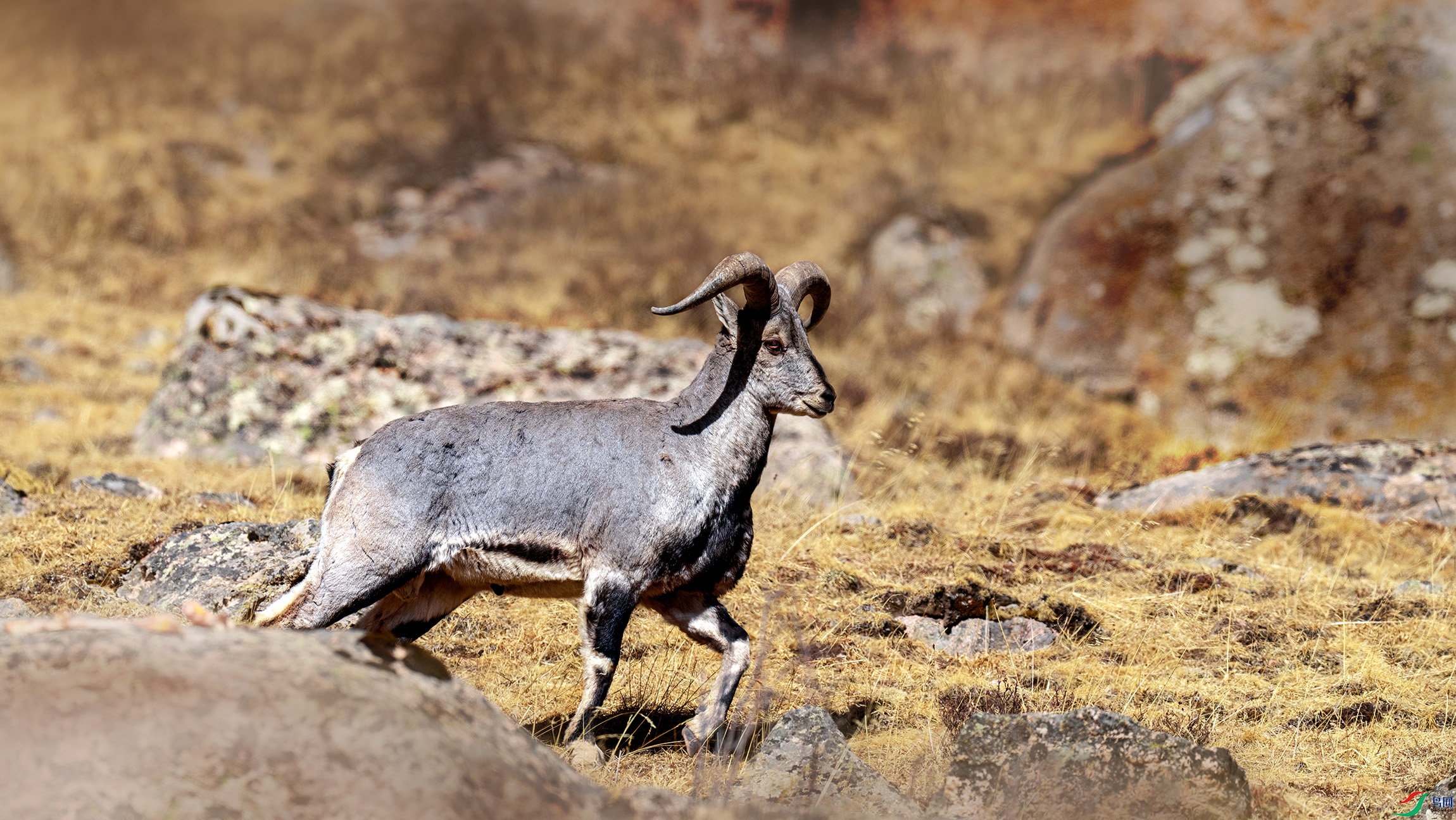 DSC00165 ����-1M.jpg