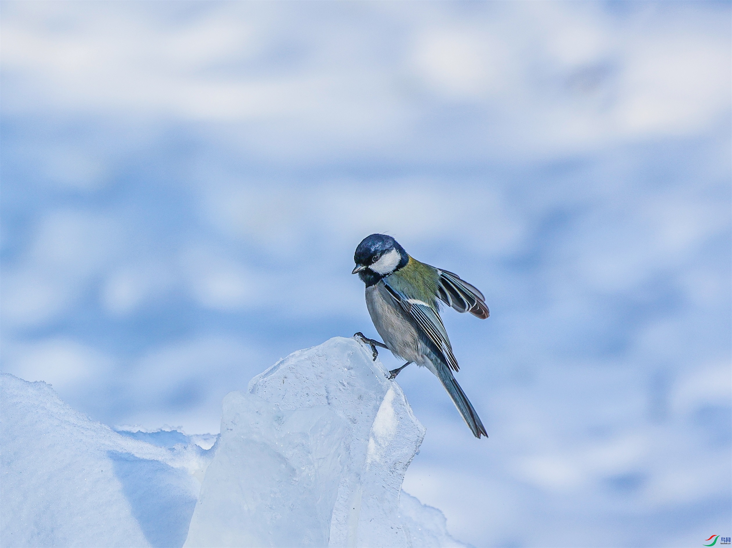 1K3A2912 ����1.jpg