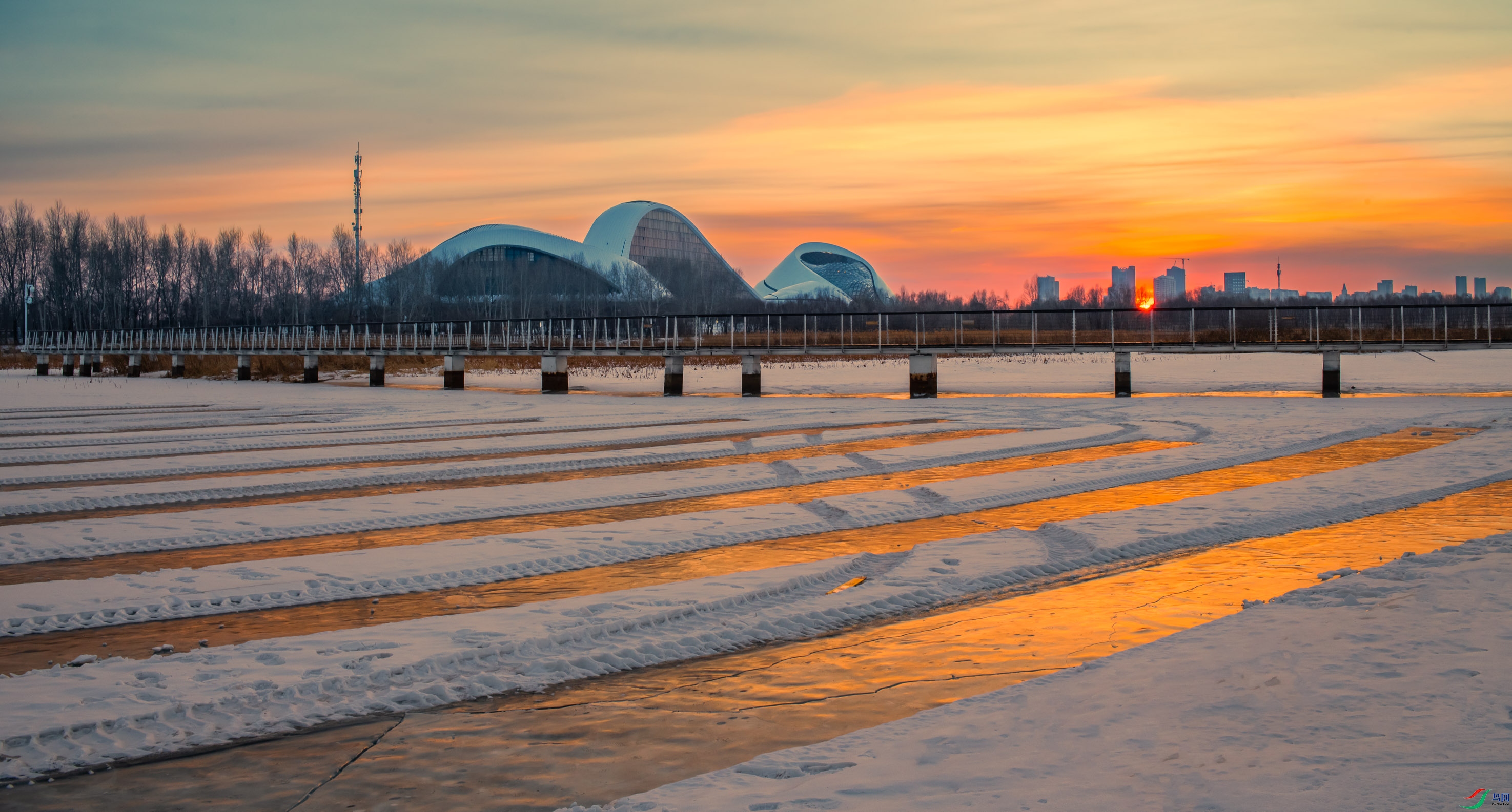 ���������Ժ