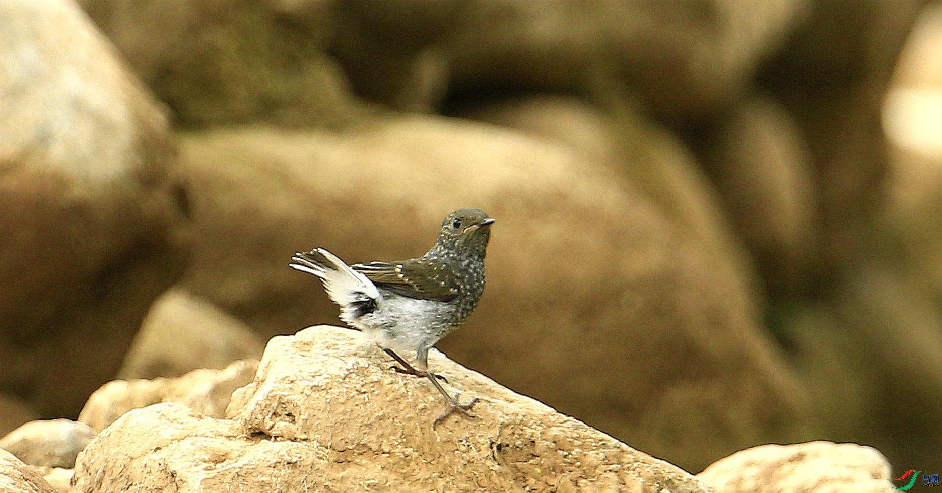 Canon EOS-1D X_20200705_101701_����.jpg