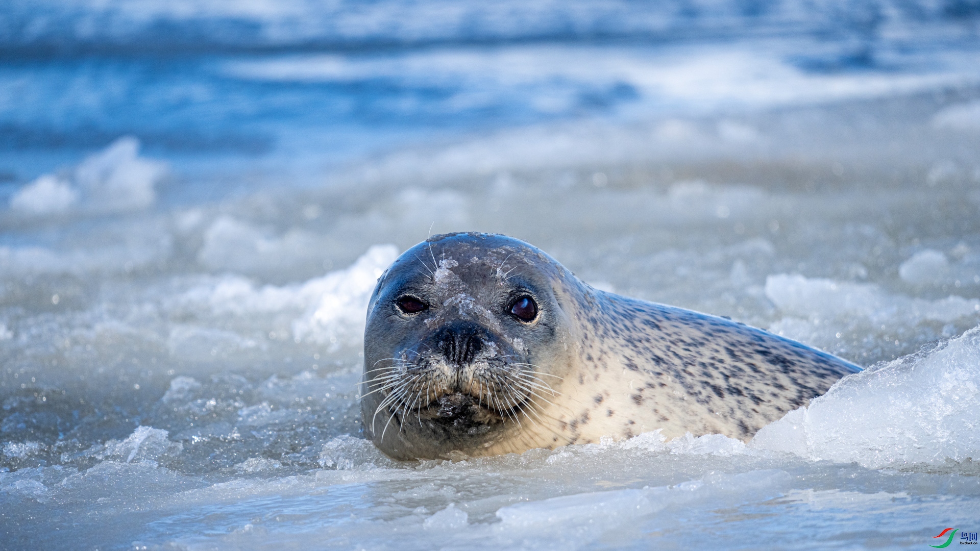 _DSC0665 ����.jpg