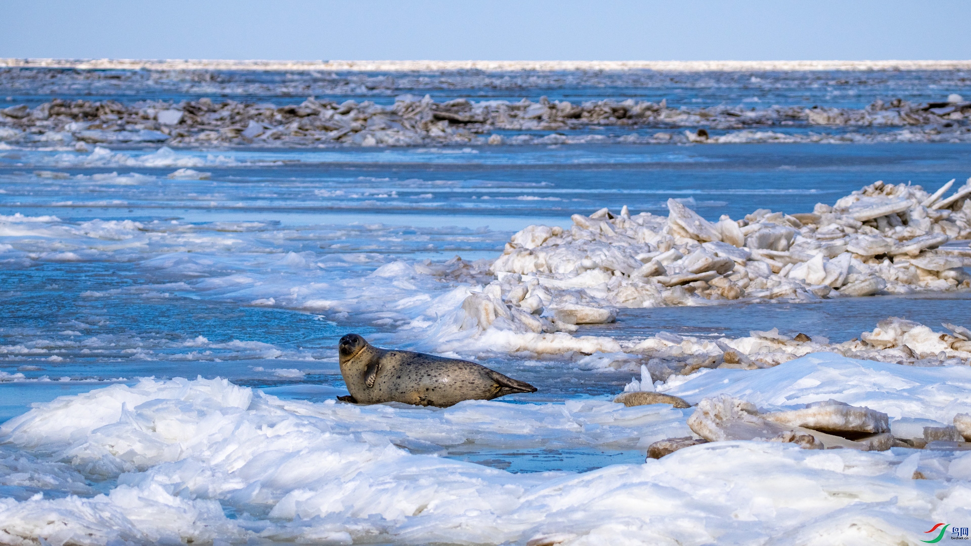 _DSC0858 ����.jpg