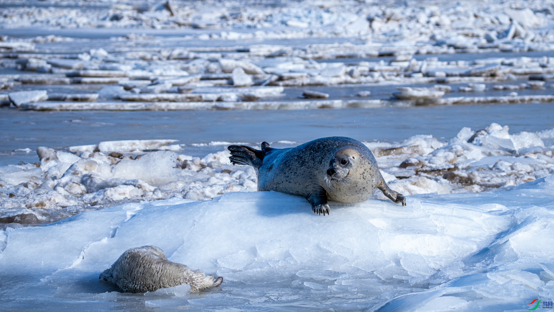 _DSC0879 ����.jpg