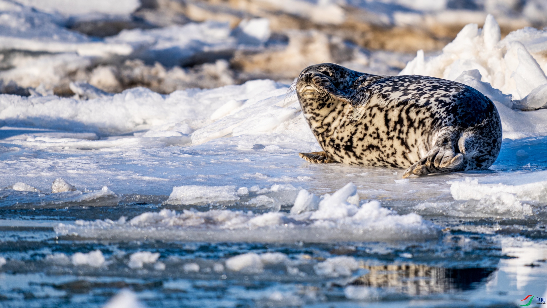 _DSC1978 ����.jpg