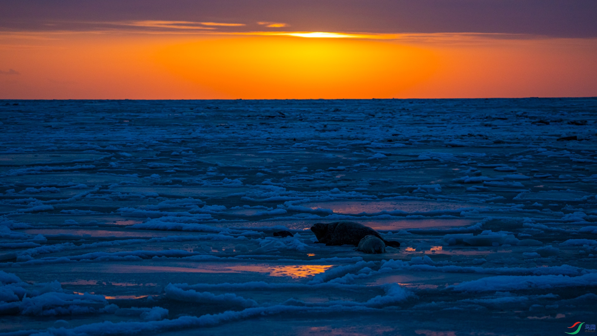 _DSC1399 ����.jpg