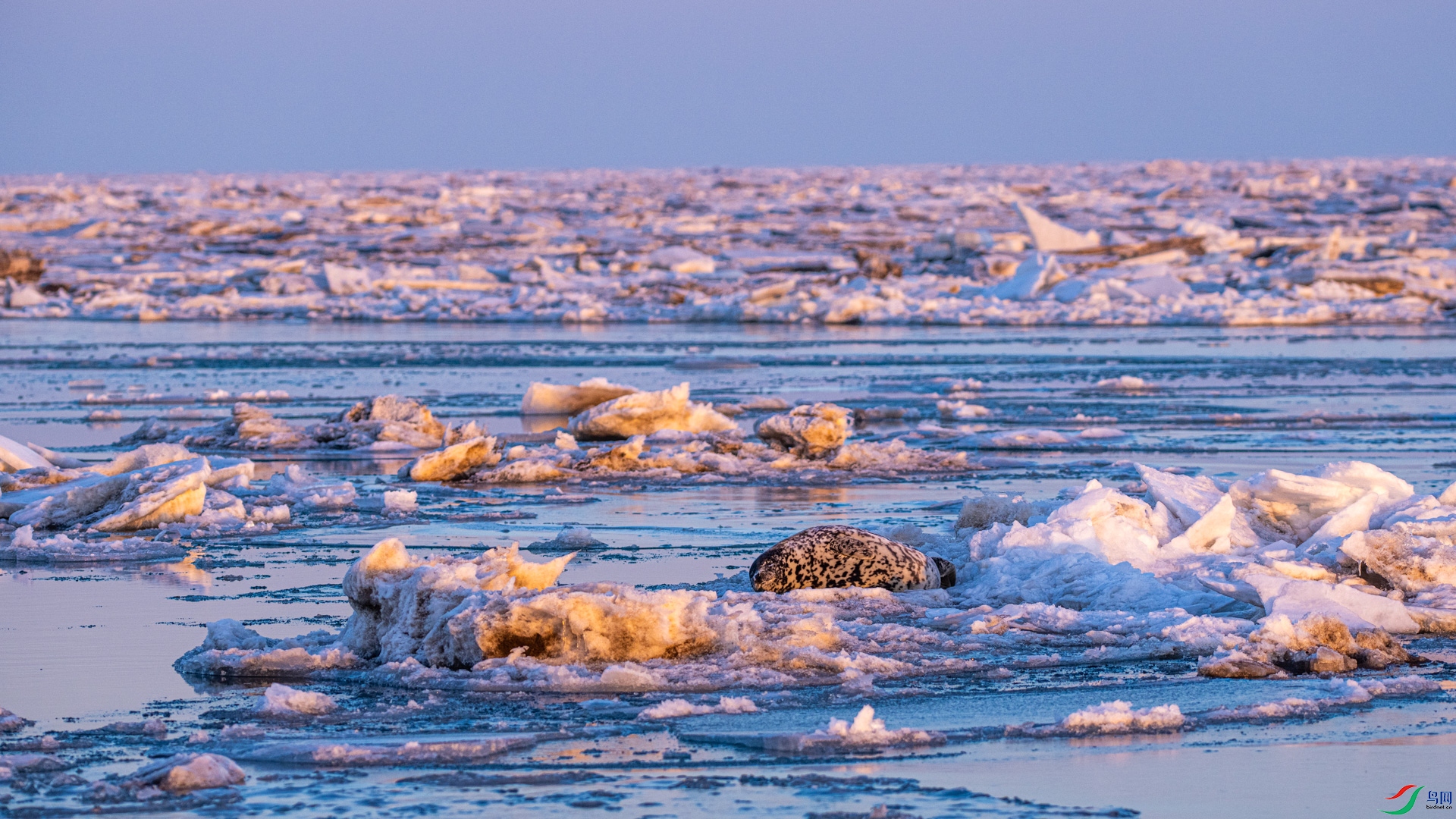 _DSC3188 ����.jpg