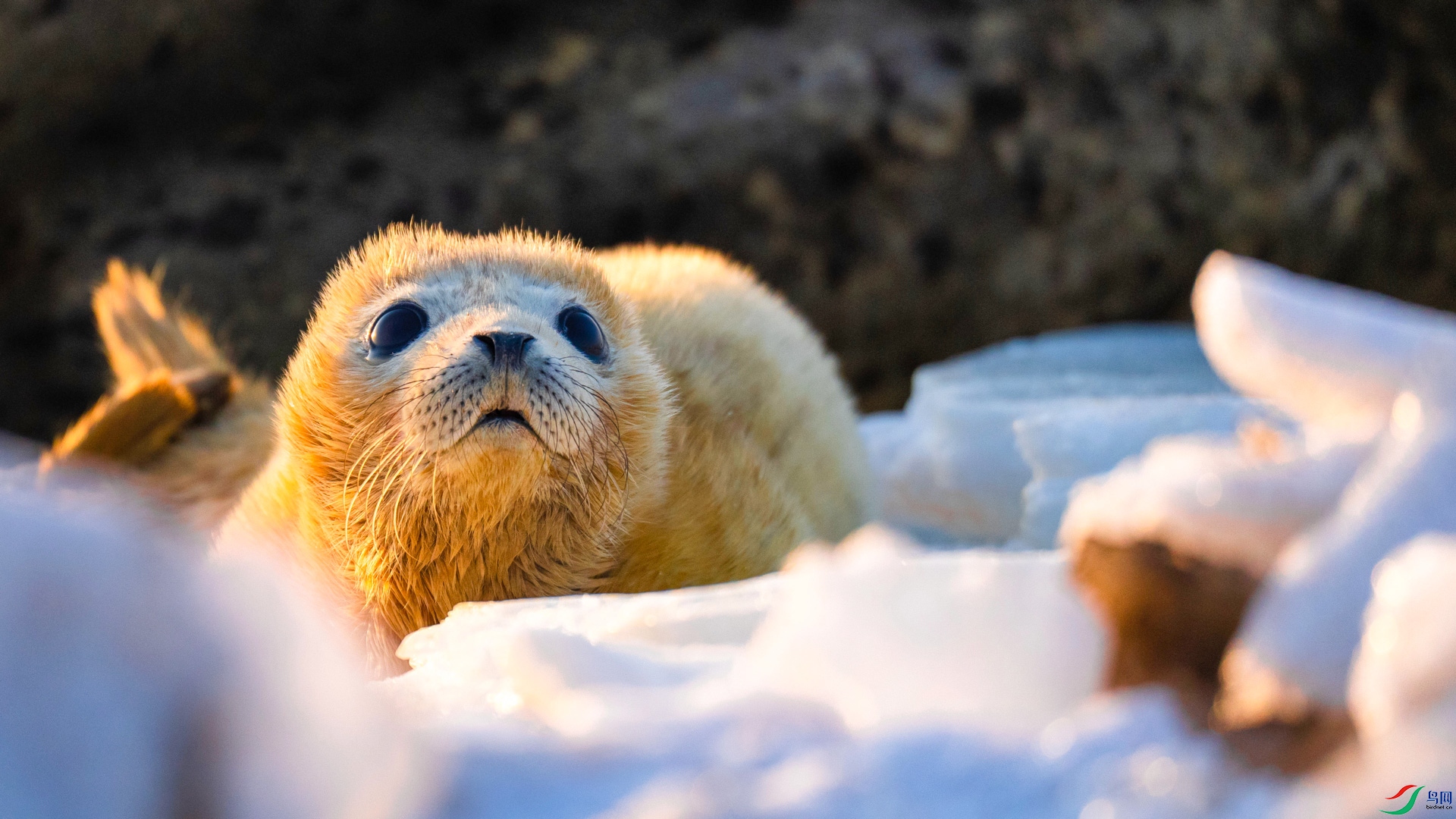 _DSC3616 ���� 2.jpg