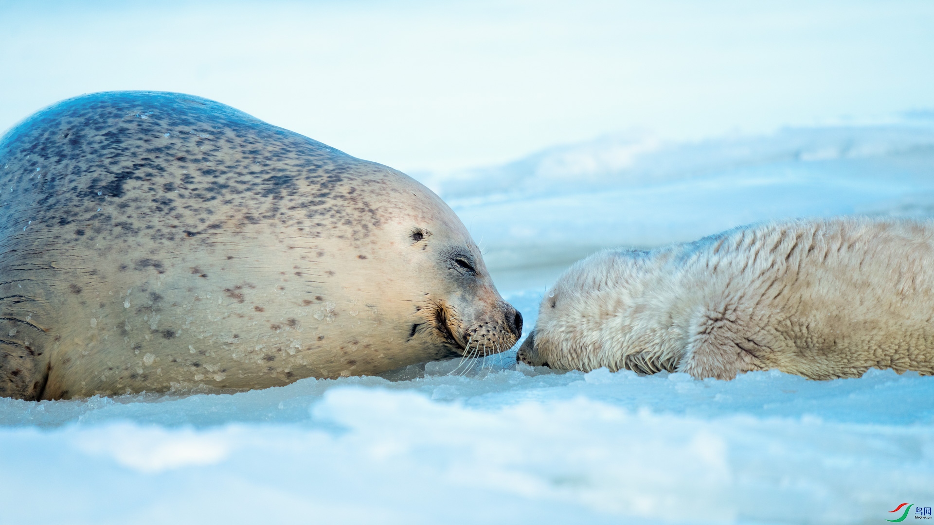 _DSC7193 ���� 2.jpg