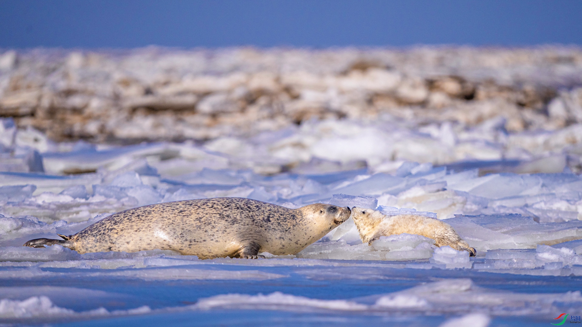 _DSC7326 ���� 2.jpg