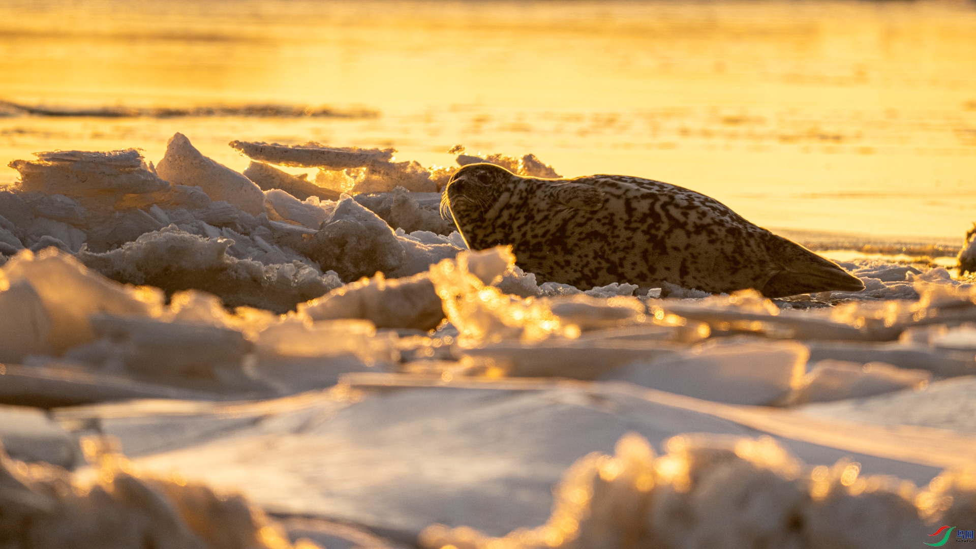 _DSC2862 ����.jpg