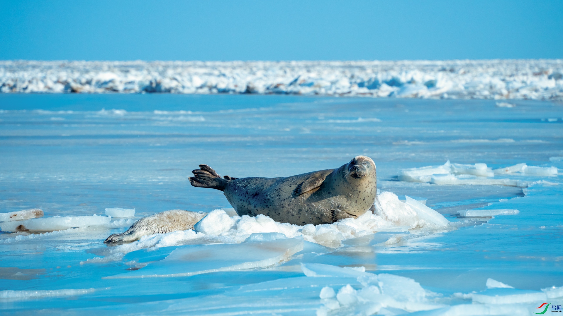 _DSC7538 ���� 2.jpg