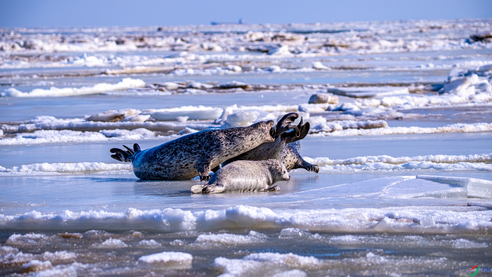 _DSC8019 ����.jpg