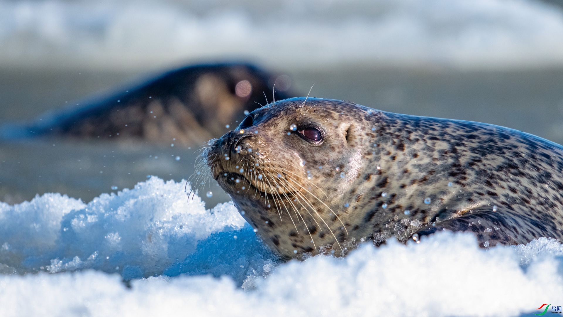 _DSC8240 ���� 2.jpg