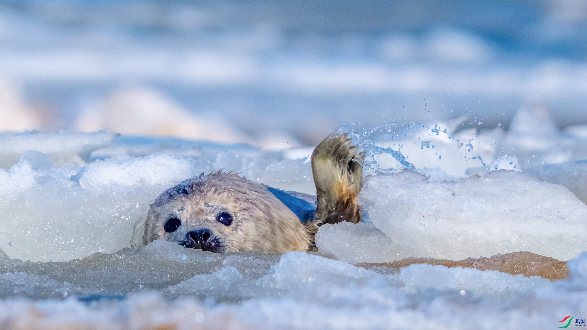 _DSC8608 ���� 2.jpg