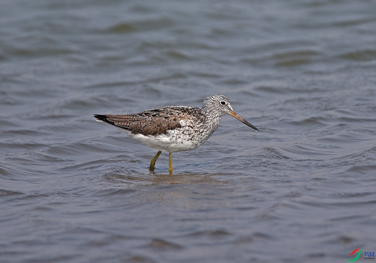 DSC_27122.jpg
