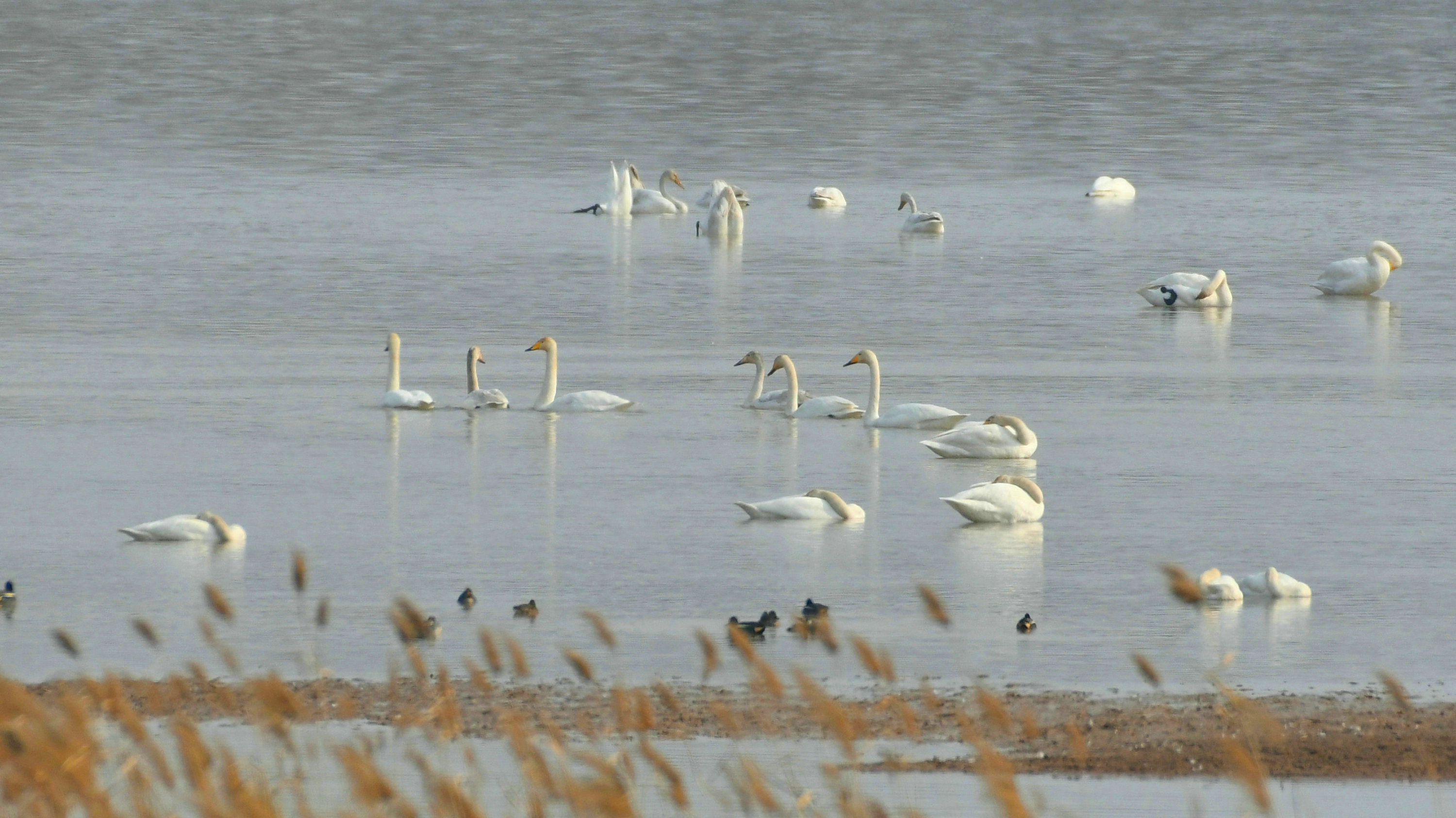 DSC_2693.JPG
