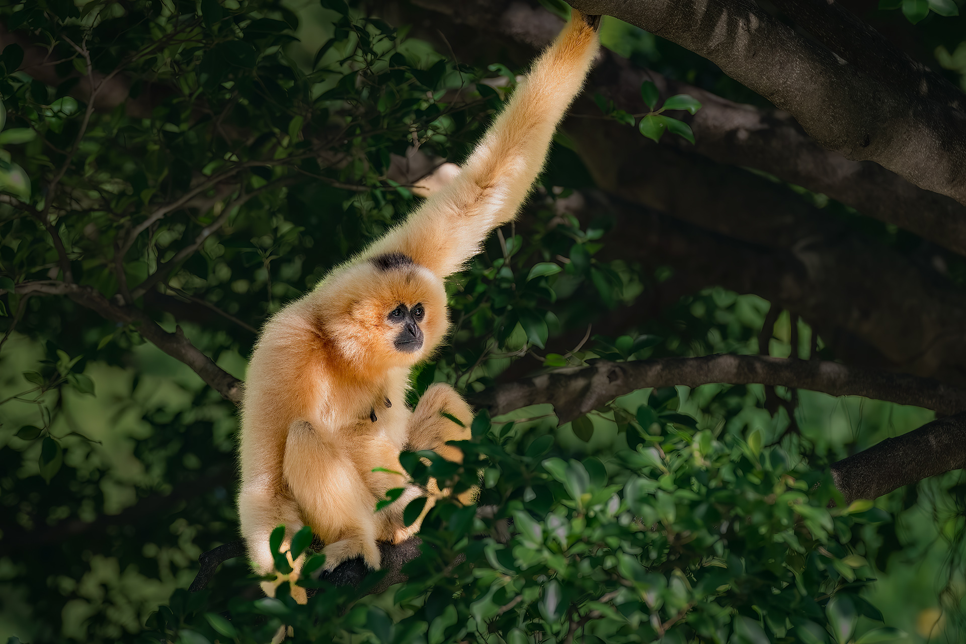 GUO_0016 ����L.jpg