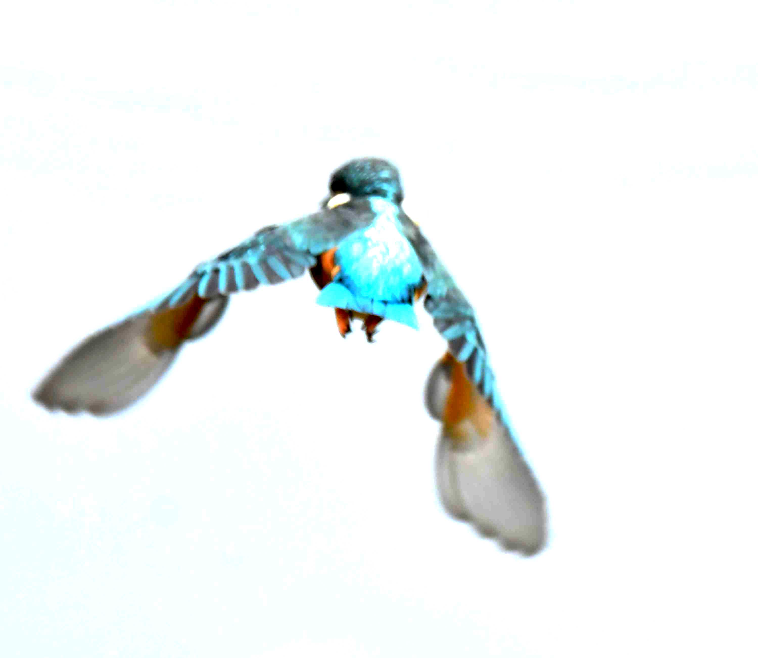 DSC_0003.JPG