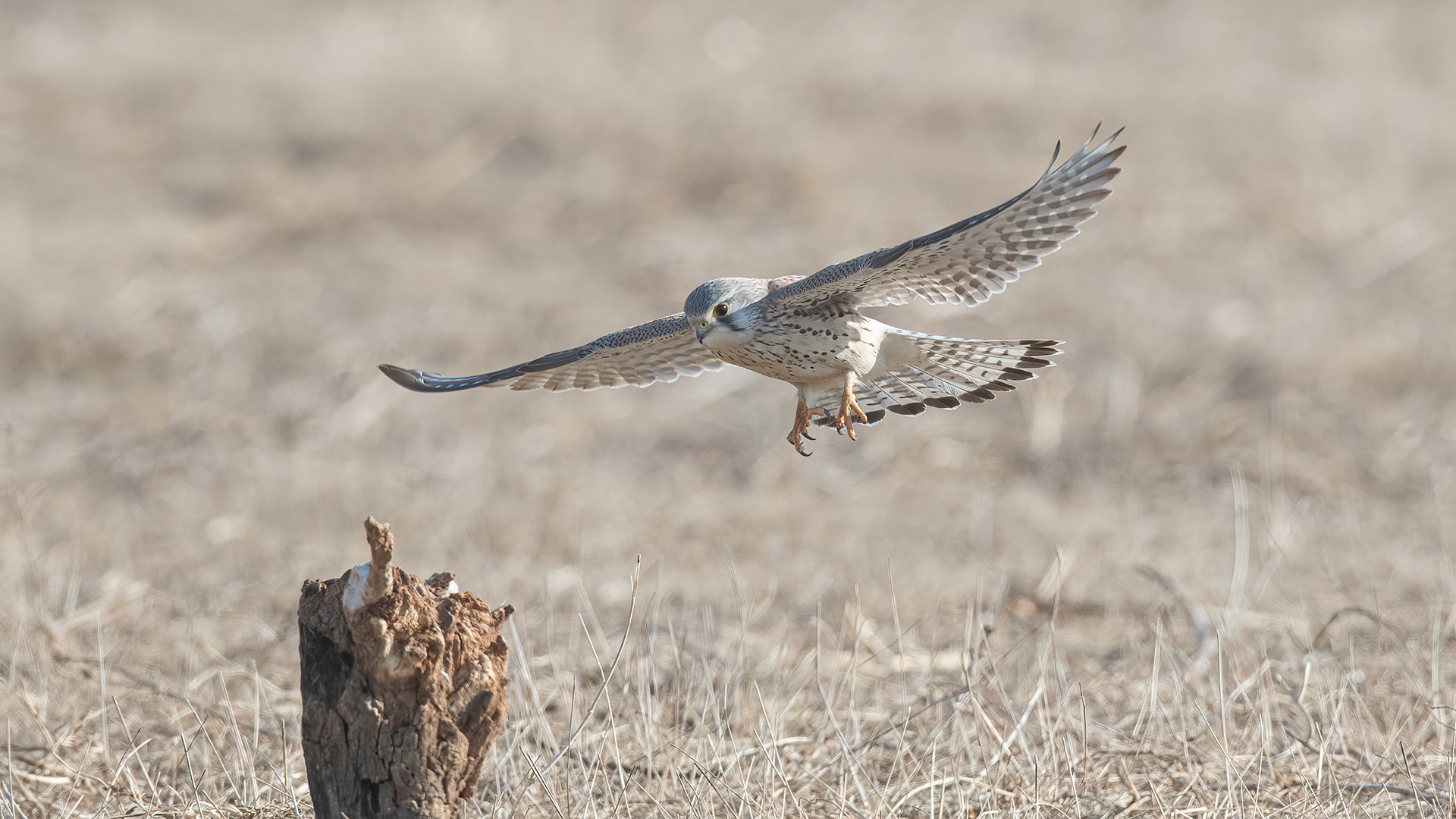 1DX_3142 ����.jpg