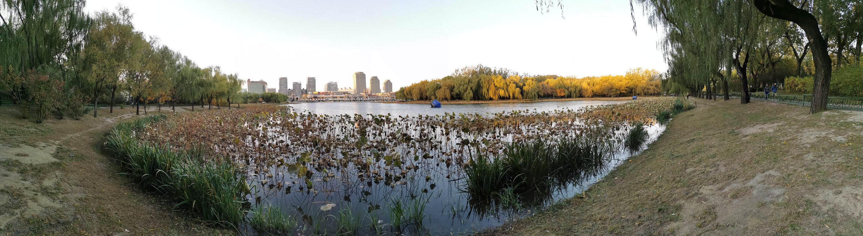 ΢��ͼƬ_20201103132839_����.jpg