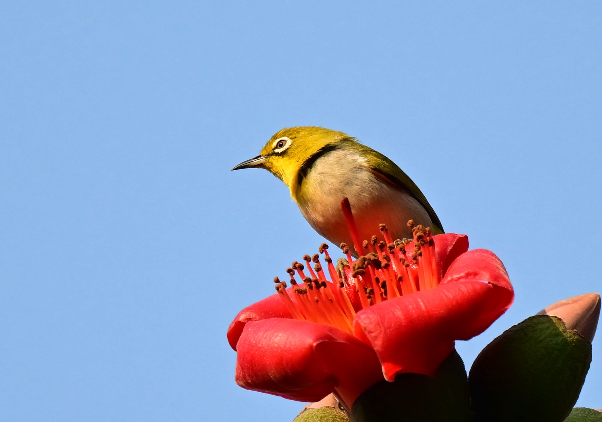 DSC_4035_1 - ����.jpg