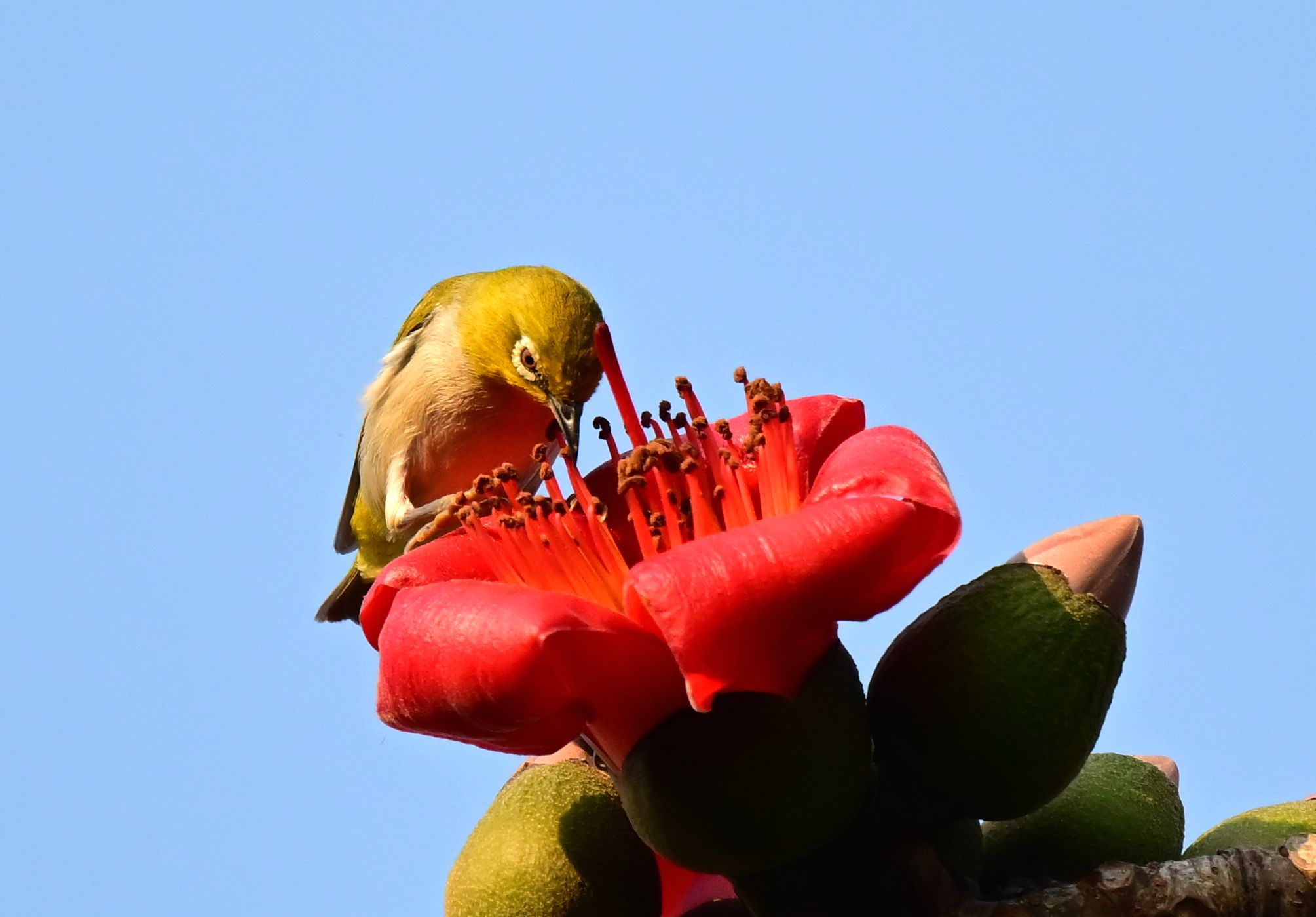 DSC_4072_1 - ����.jpg