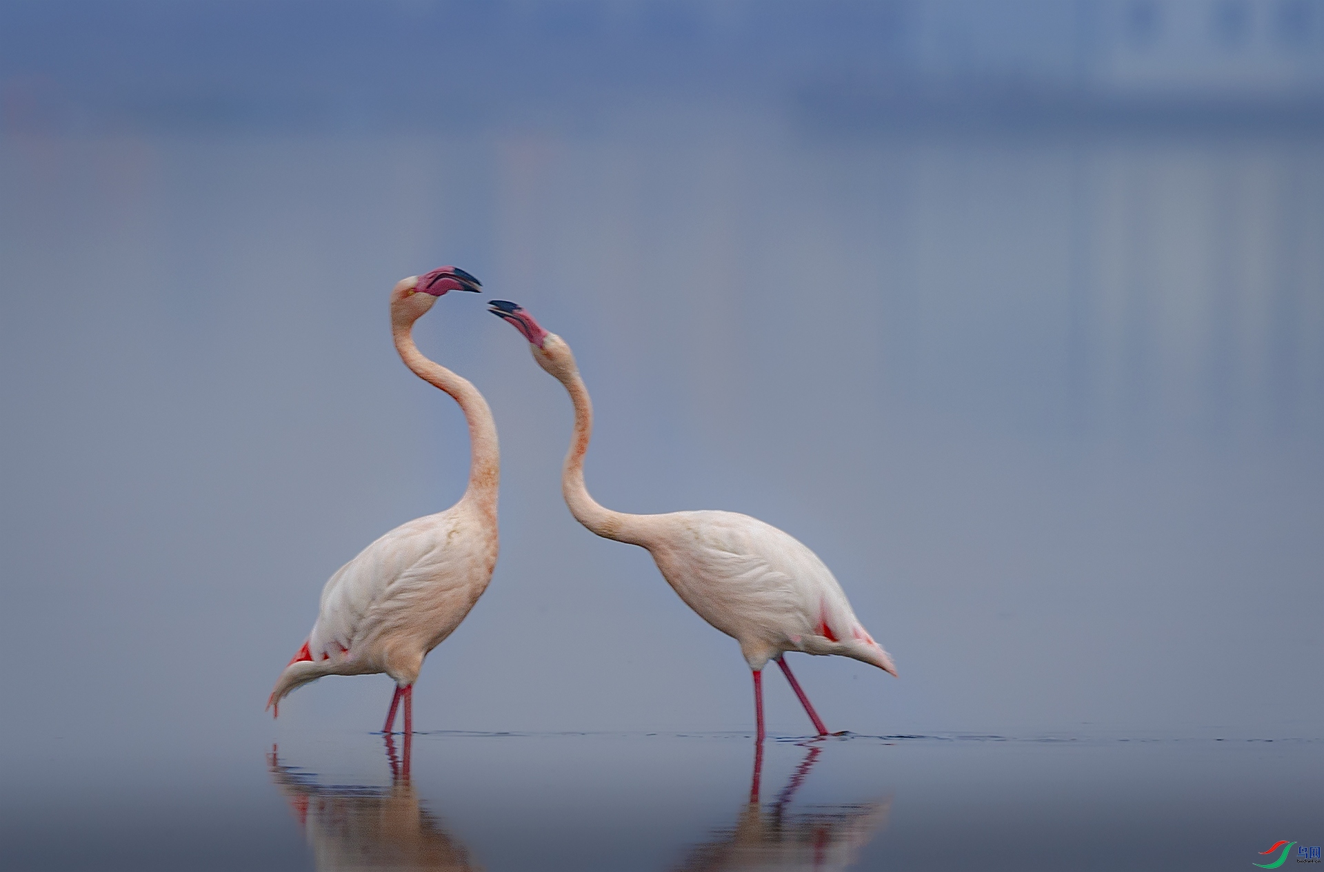 055A0021 ����.jpg