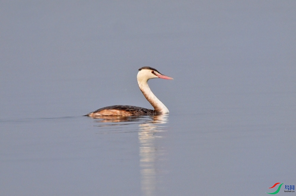 DSC_4696.jpg