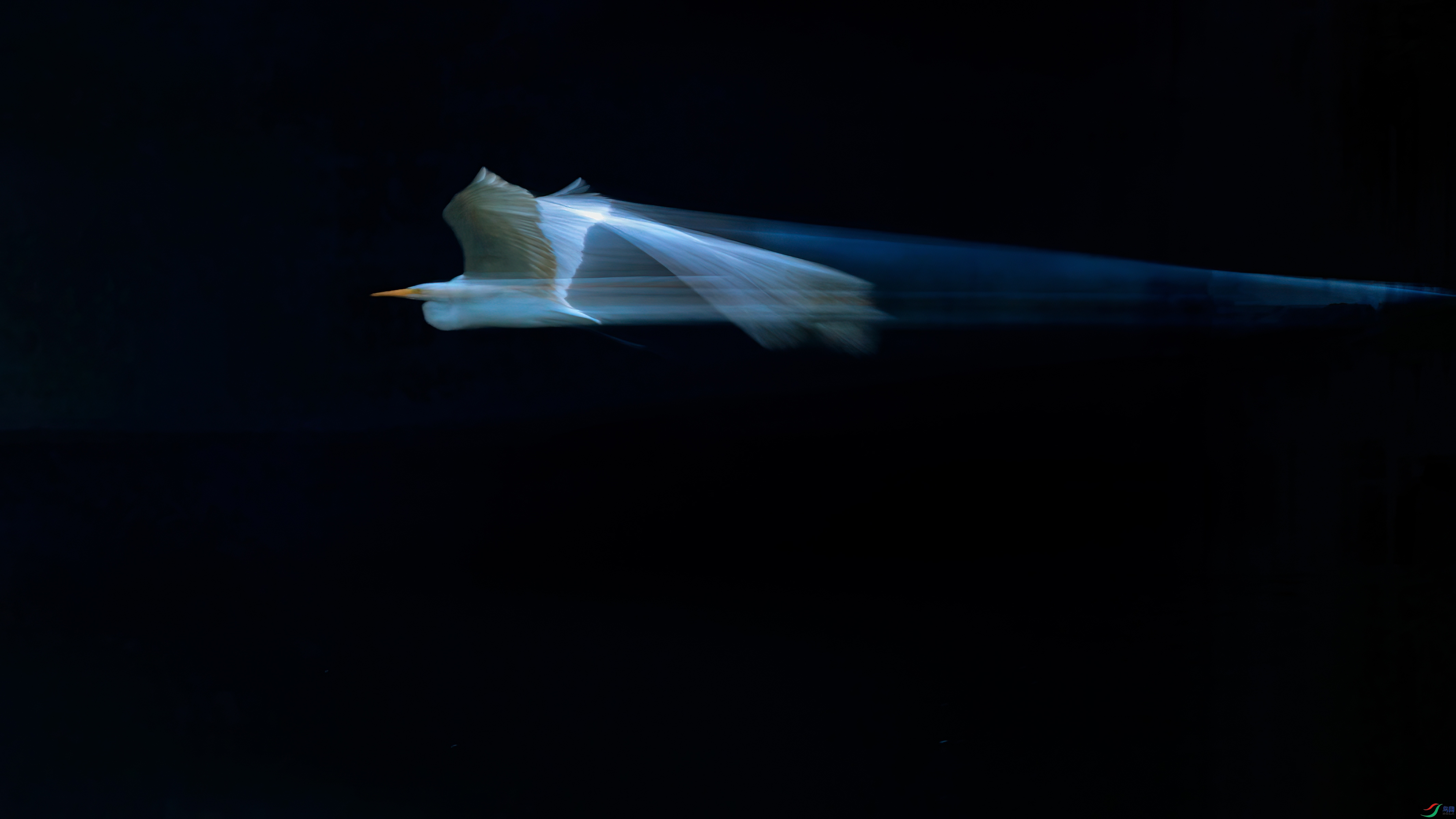 _B5A0782.jpg