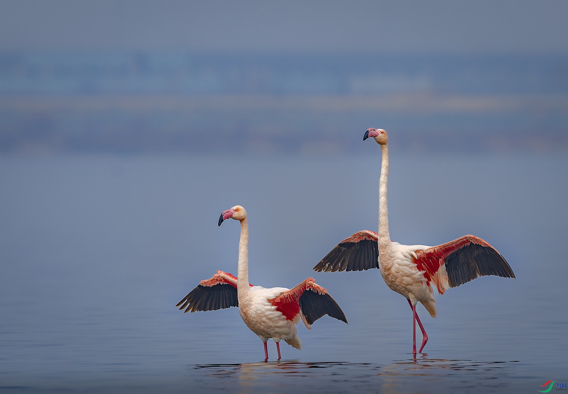 055A3100 ����.jpg