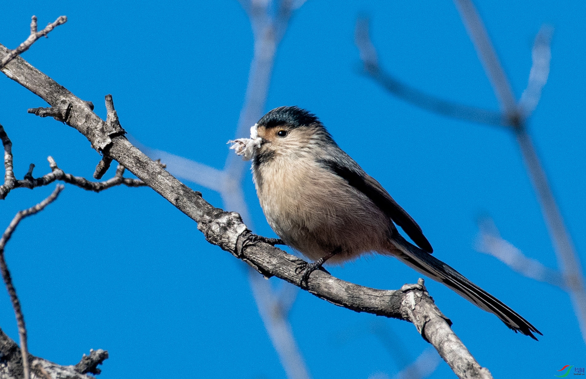 DSC_0350.jpg