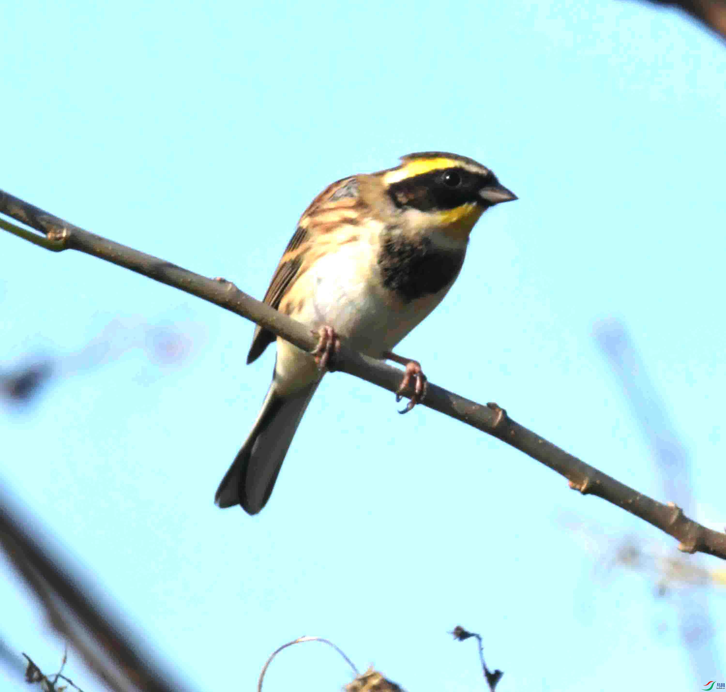 DSC_4867.JPG