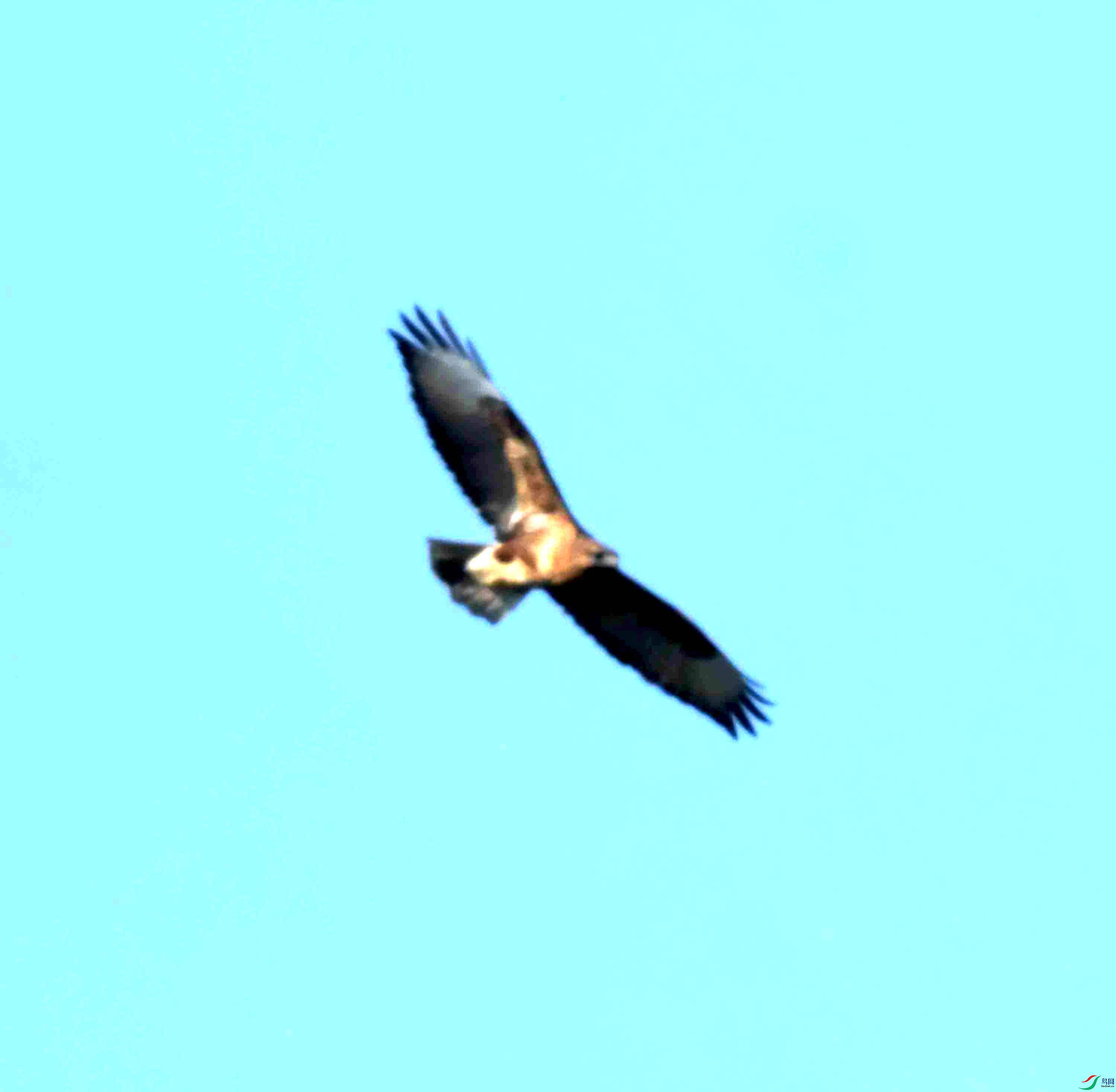 DSC_0661.JPG