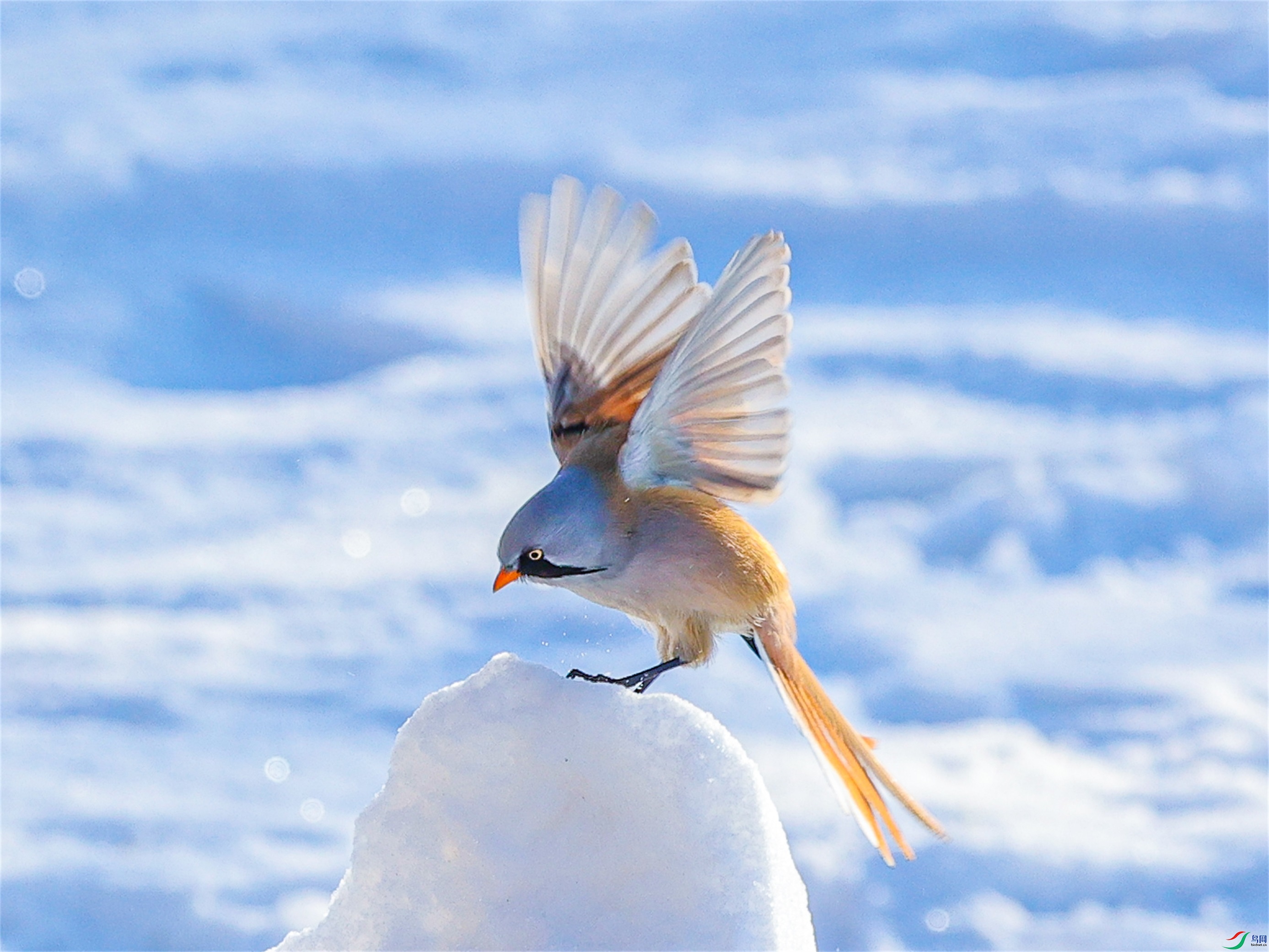 1K3A4814 ����1.jpg