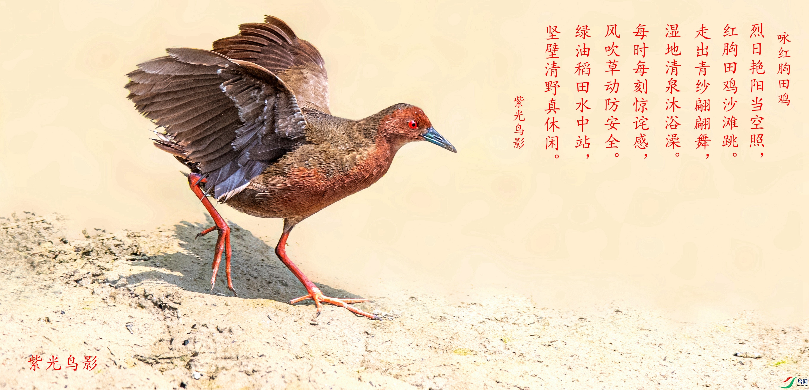 BBA_7843����_����.jpg
