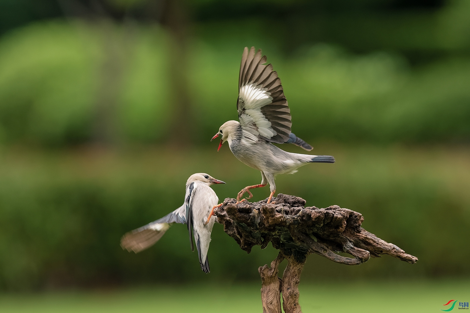 3DSC_5777_DxOa.jpg