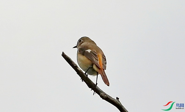 BK2A6981.JPG