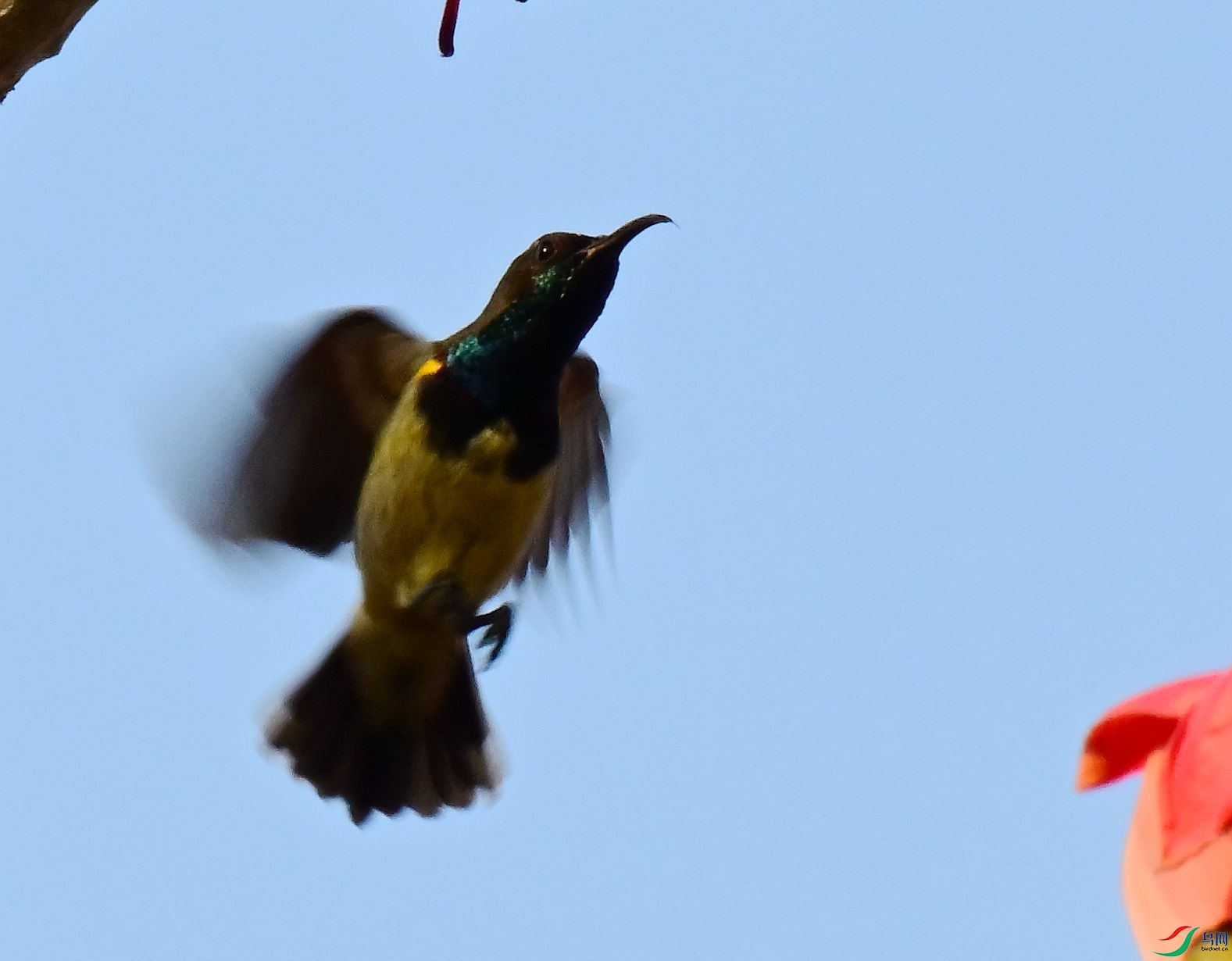 DSC_3667_1.jpg