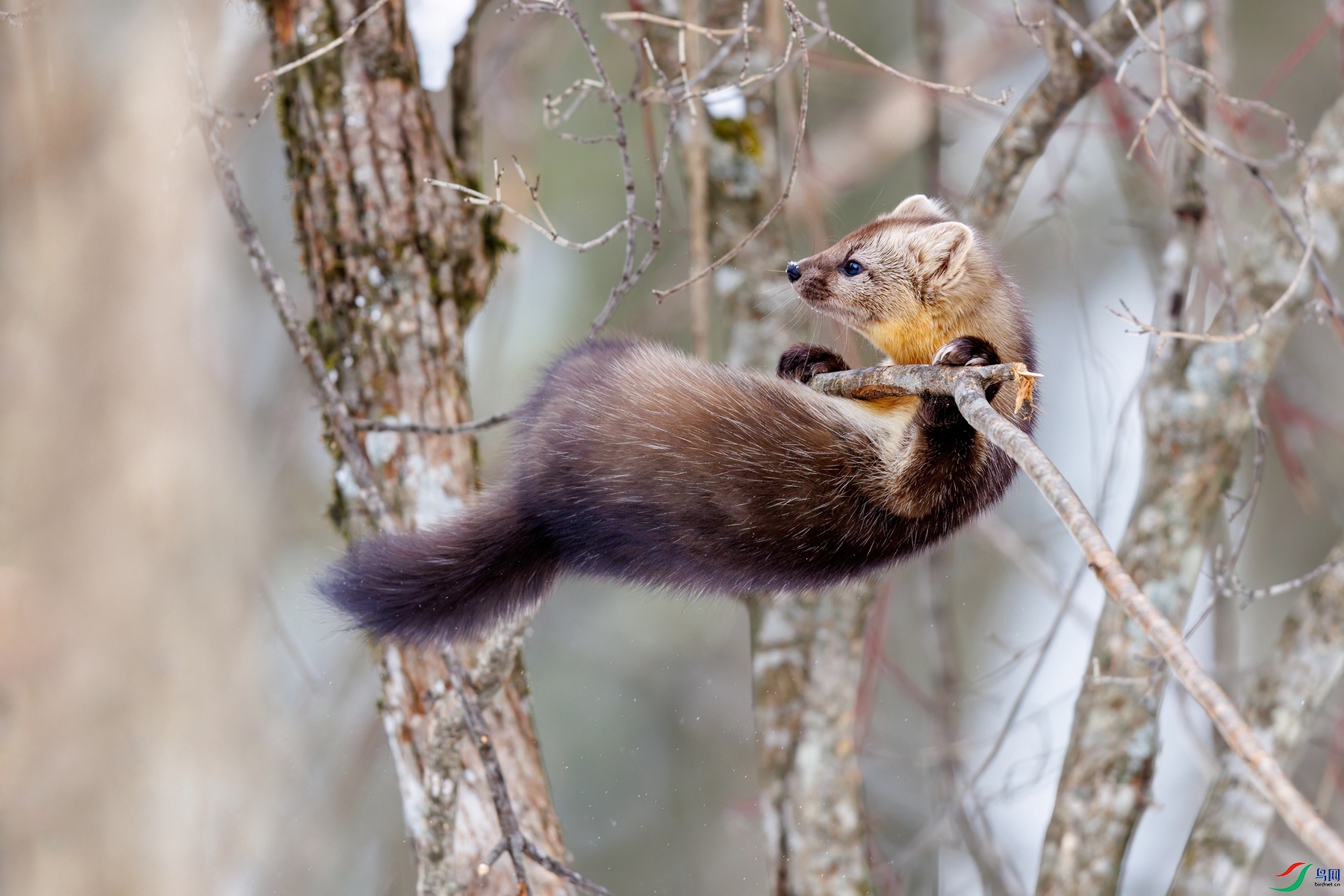 274A1643 denoise_����.jpg